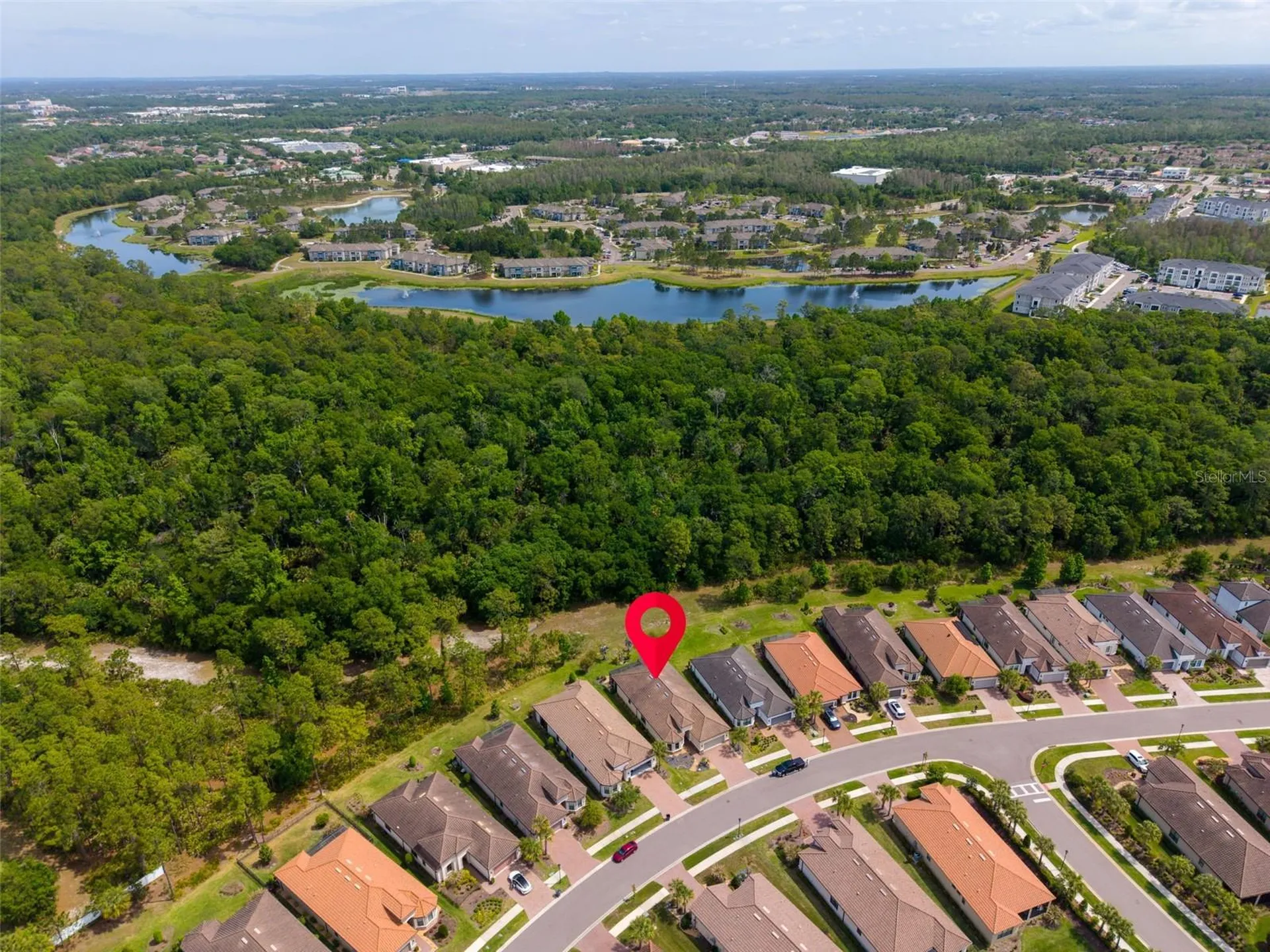 20161 Umbria Hill Drive Tampa FL 33647