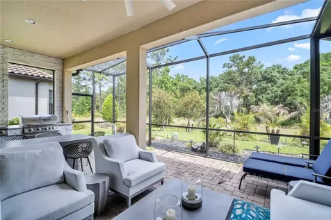 20161 Umbria Hill Drive Tampa FL 33647