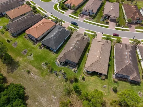 20161 Umbria Hill Drive Tampa FL 33647