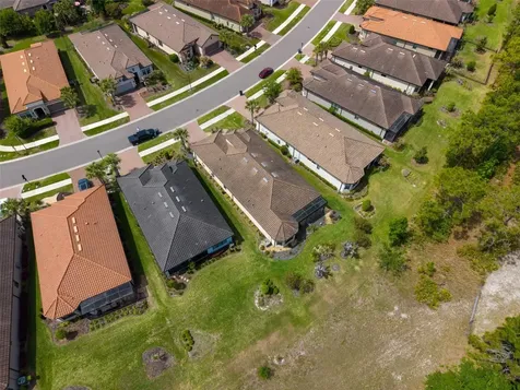 20161 Umbria Hill Drive Tampa FL 33647