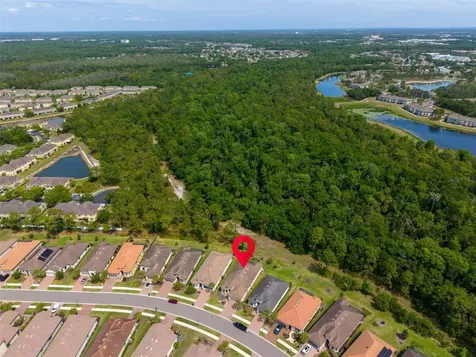 20161 Umbria Hill Drive Tampa FL 33647