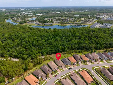 20161 Umbria Hill Drive Tampa FL 33647