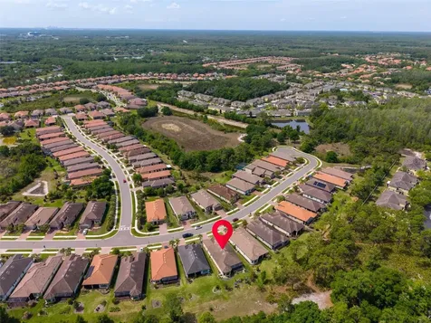 20161 Umbria Hill Drive Tampa FL 33647