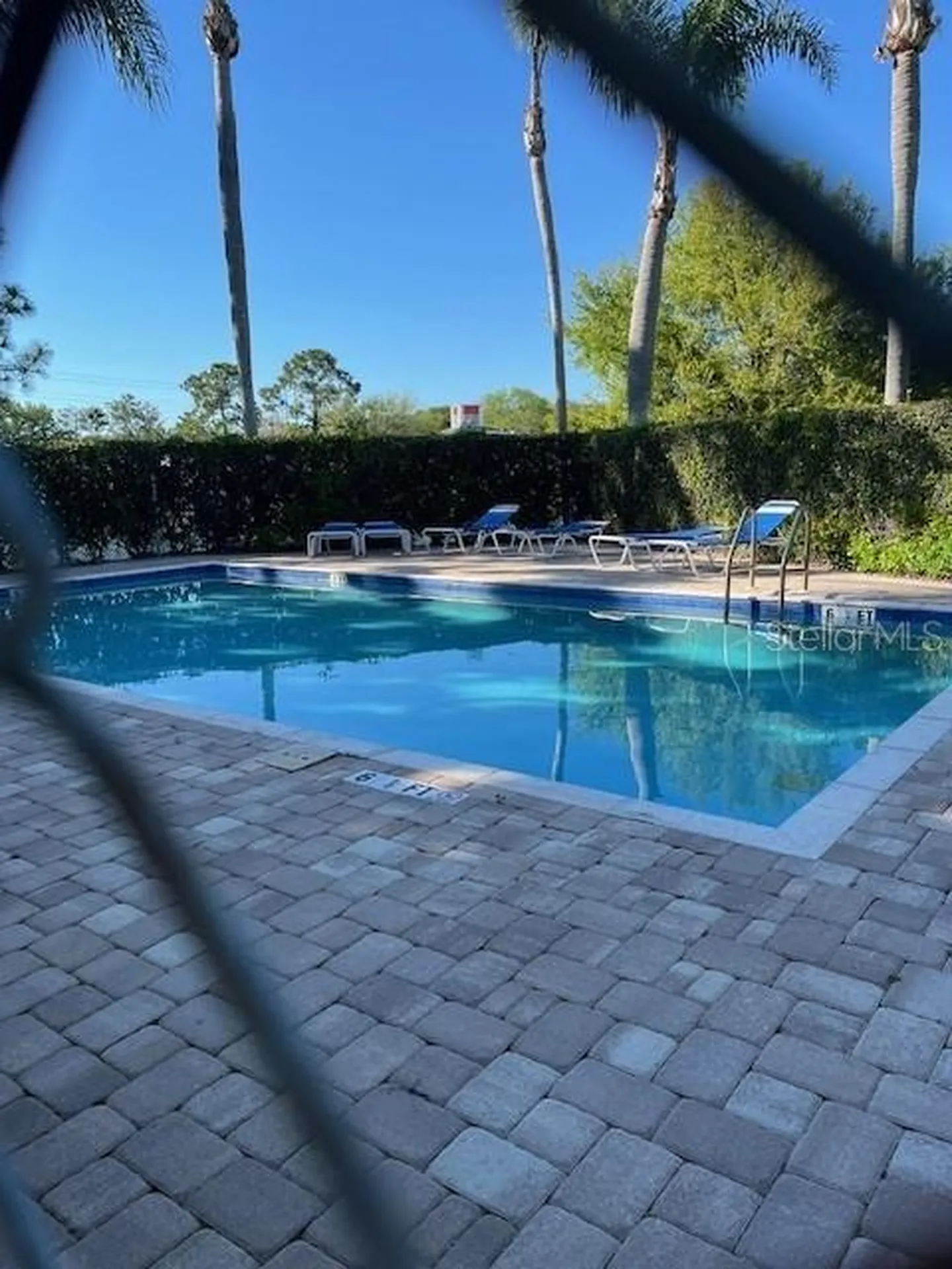 3121 Beecher Drive E Palm Harbor FL 34683