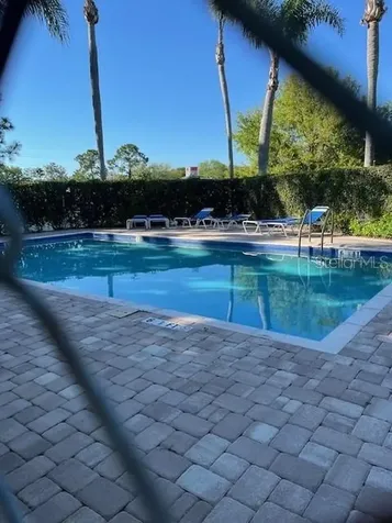 3121 Beecher Drive E Palm Harbor FL 34683