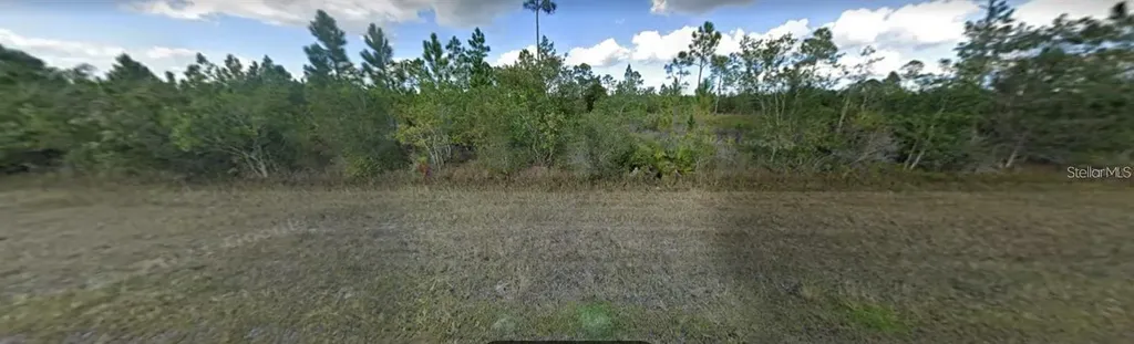 1008 Calliandra Drive Indian Lake Estates FL 33855