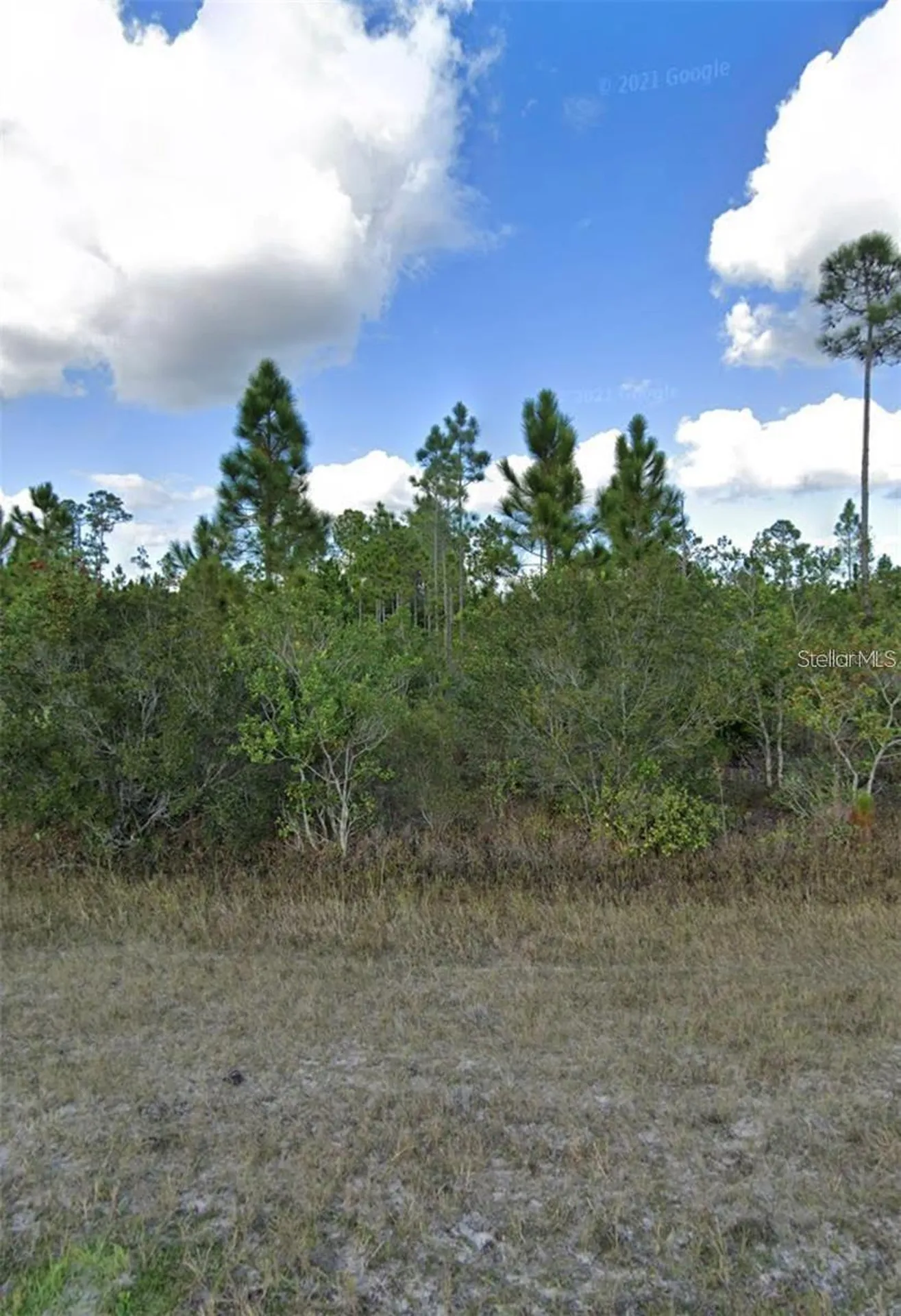 1008 Calliandra Drive Indian Lake Estates FL 33855