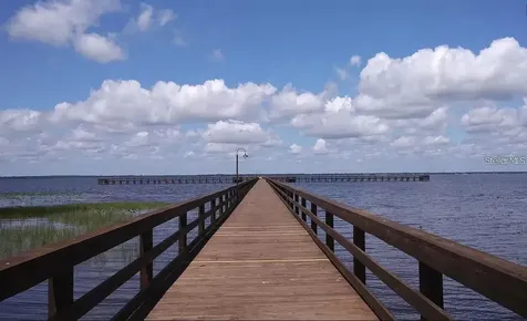 1008 Calliandra Drive Indian Lake Estates FL 33855