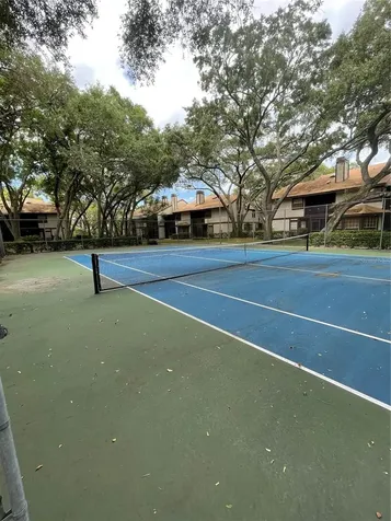 1450 Mahogany Lane Palm Harbor FL 34683
