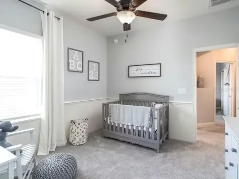 8687 Wildflower Fields Lane Wildwood FL 34785
