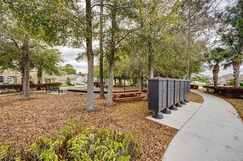 1734 Black Maple Place Ocoee FL 34761