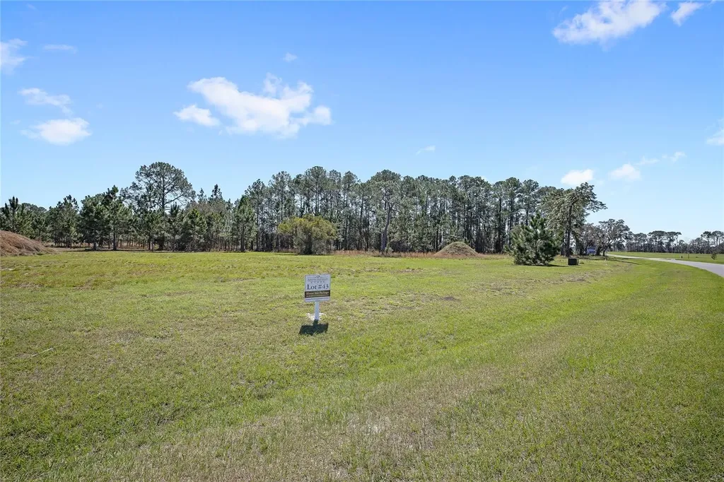 38514 Wooded Meadow Drive Umatilla FL 32784