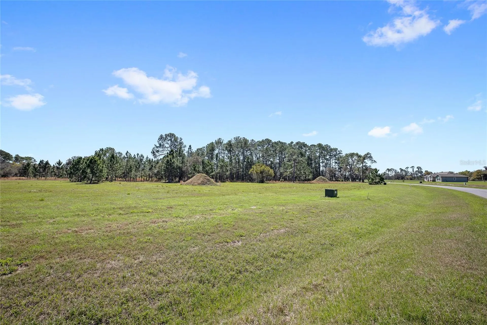 38514 Wooded Meadow Drive Umatilla FL 32784