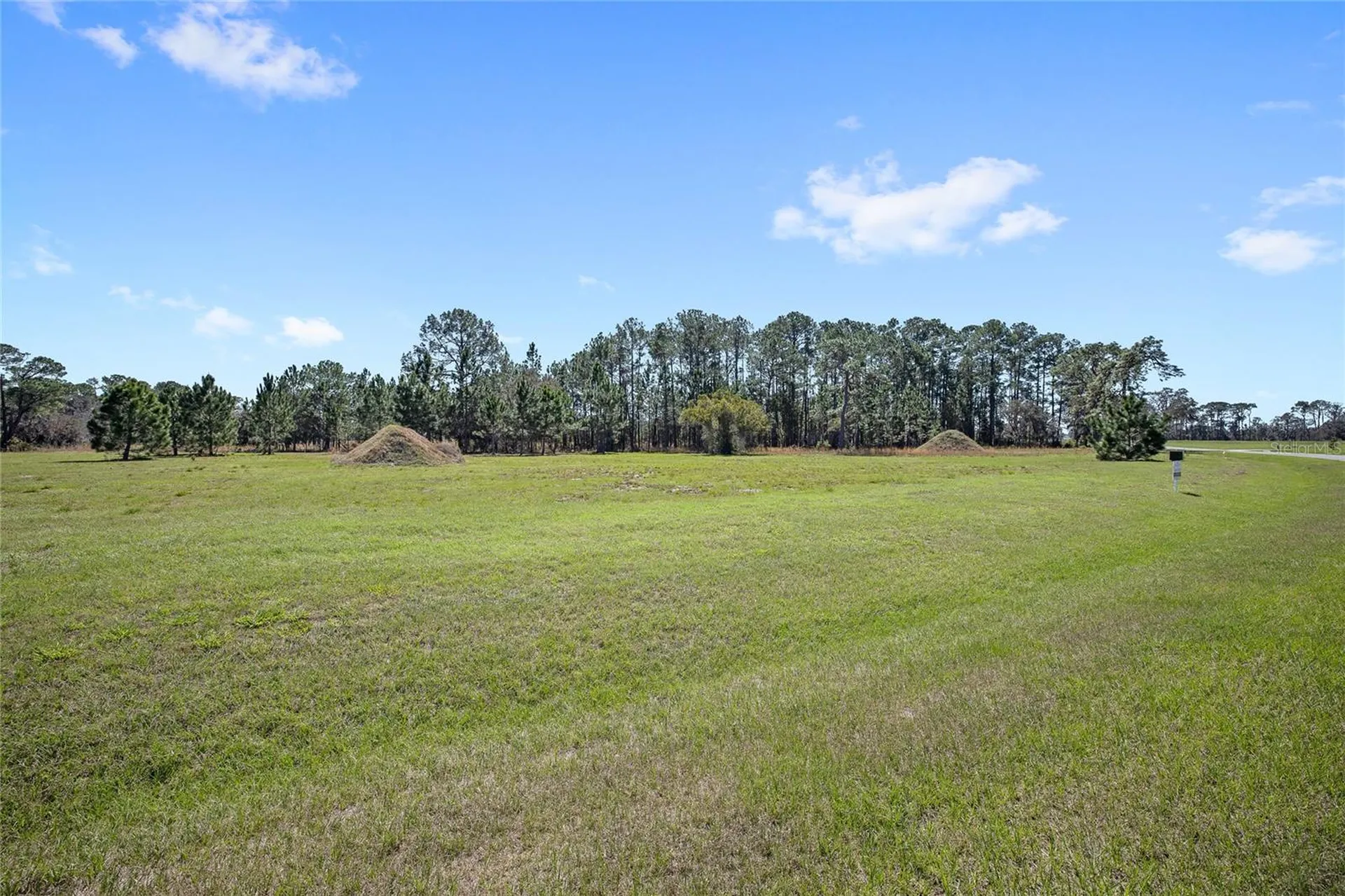 38514 Wooded Meadow Drive Umatilla FL 32784