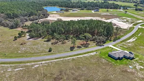 38514 Wooded Meadow Drive Umatilla FL 32784
