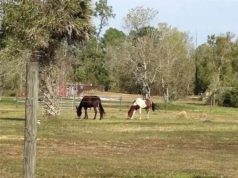 54523 Astor Transfer Station Road Astor FL 32102