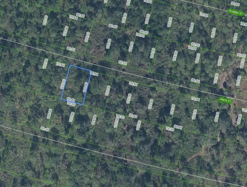 8705 Pavia Street Sebring FL 33872
