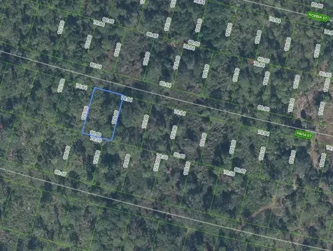 8705 Pavia Street Sebring FL 33872