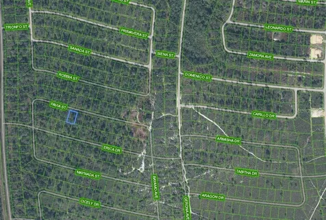 8705 Pavia Street Sebring FL 33872