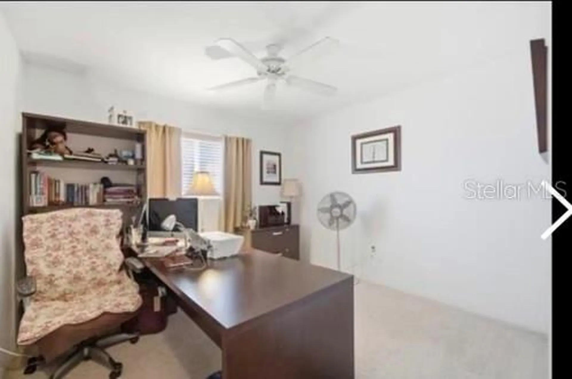 4209 Avanti Circle New Port Richey FL 34655