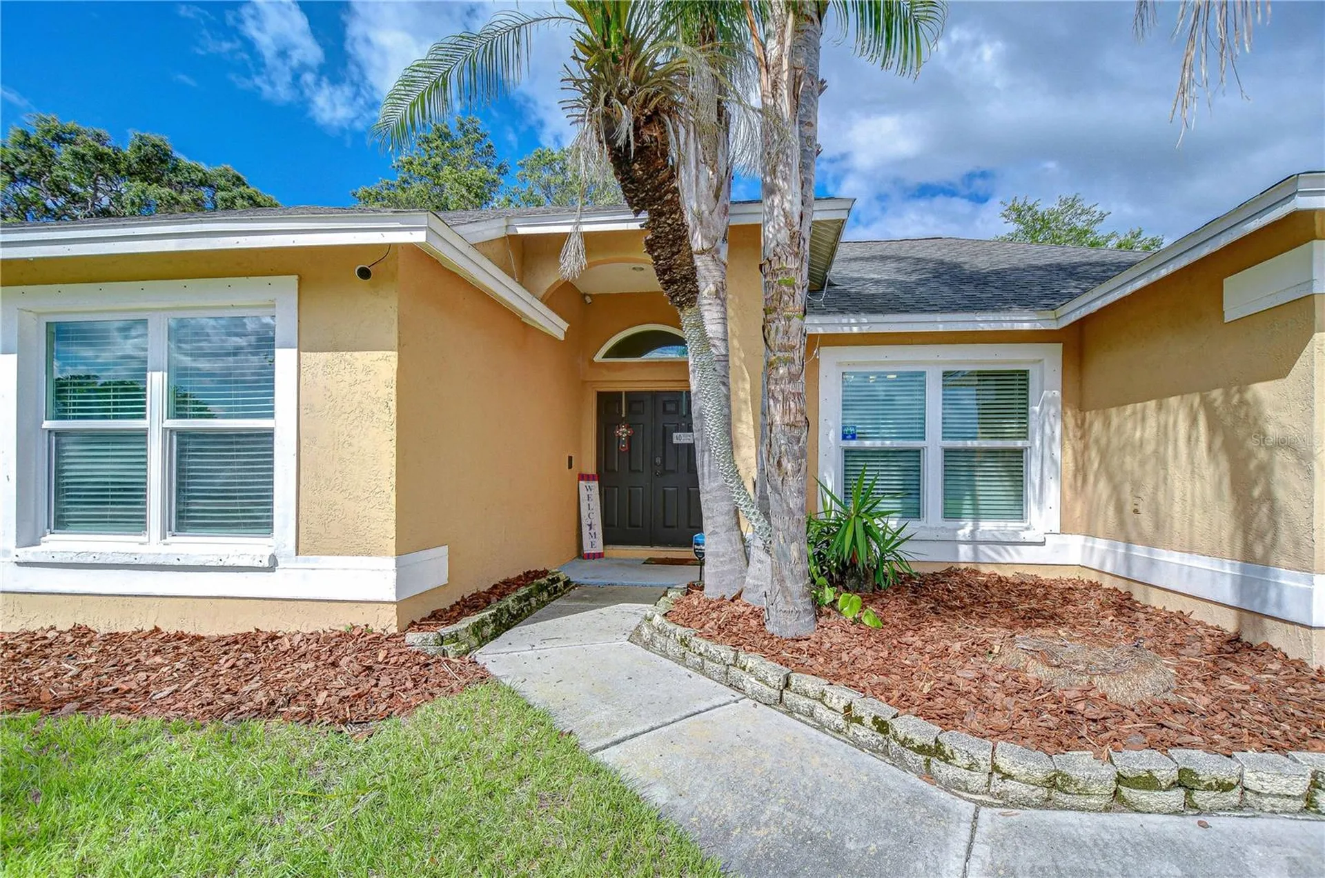 2020 Elk Spring Drive Brandon FL 33511