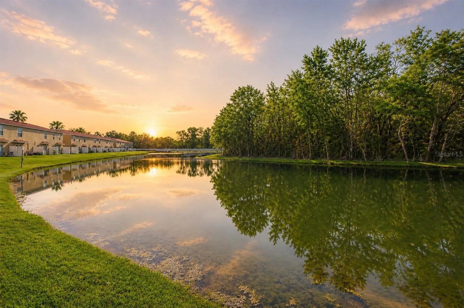 4220 Winding River Way Land O Lakes FL 34639