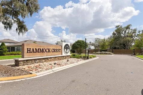 11473 Owasee Trails Place Riverview FL 33569