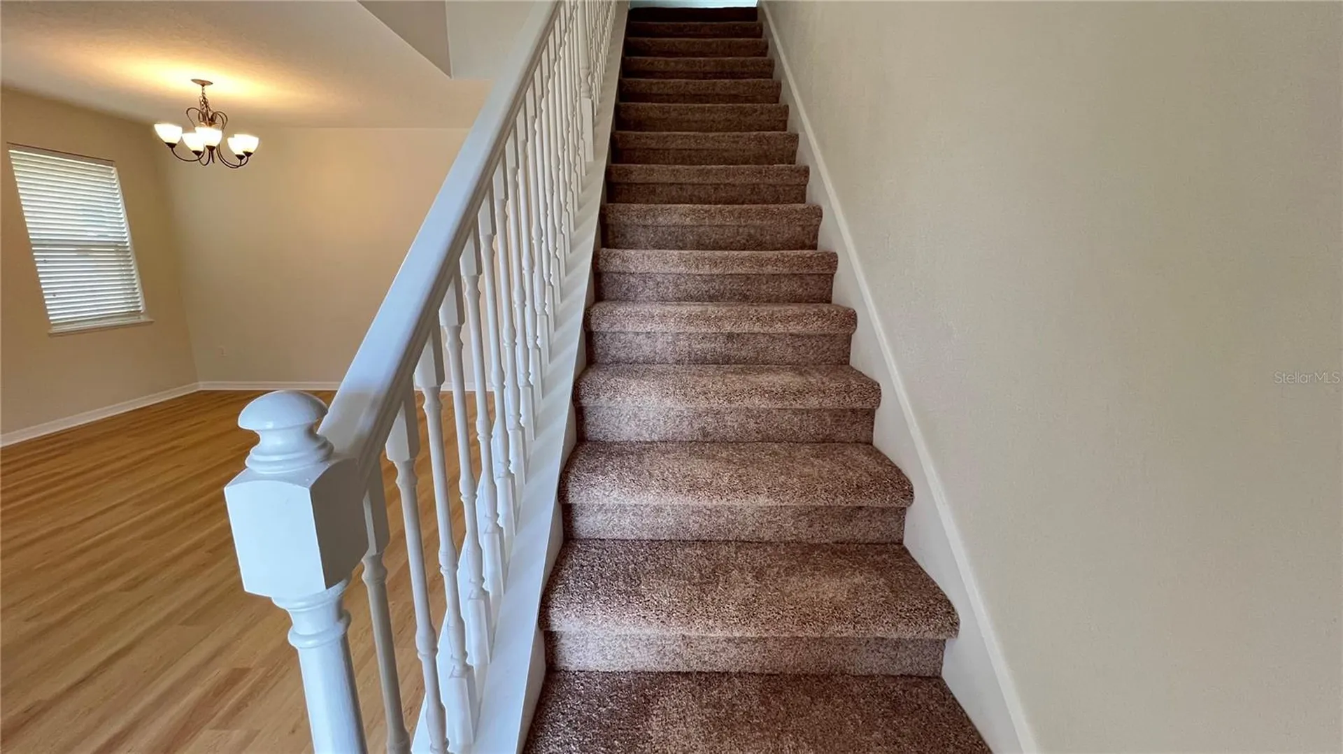 16048 Yelloweyed Drive Clermont FL 34714