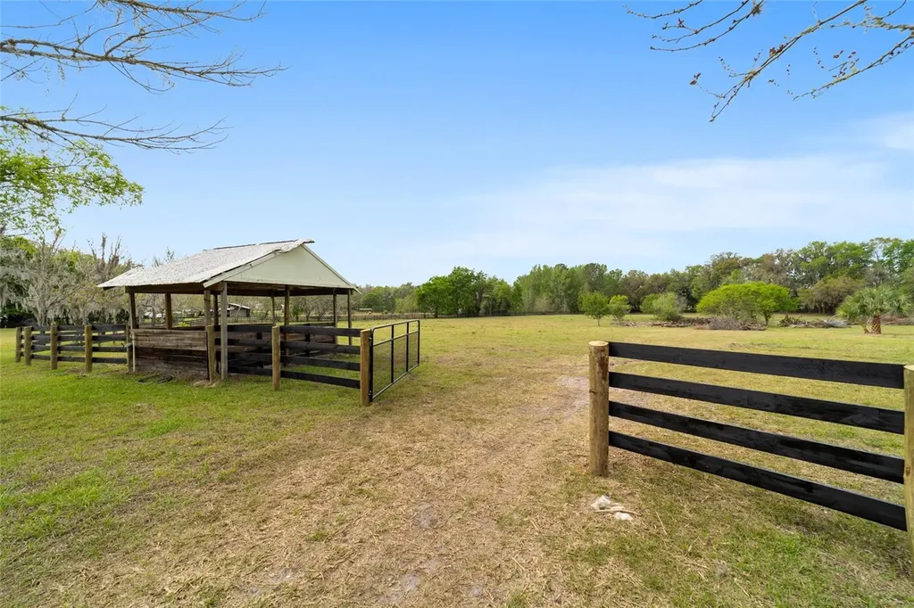16638 N Highway 329 Reddick FL 32686