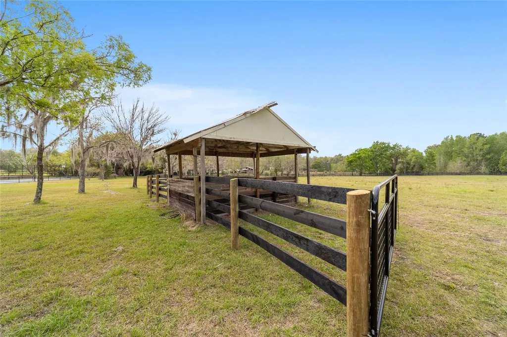16638 N Highway 329 Reddick FL 32686