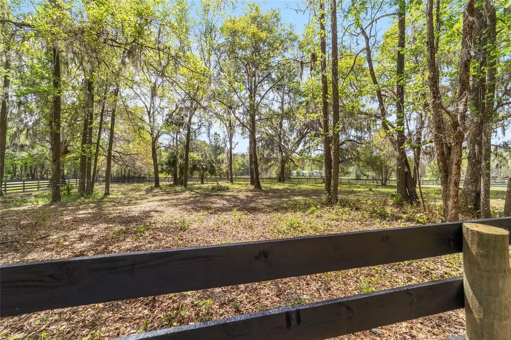 16638 N Highway 329 Reddick FL 32686