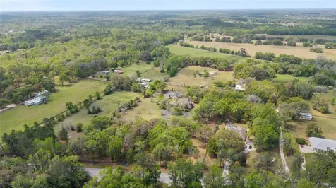 16638 N Highway 329 Reddick FL 32686