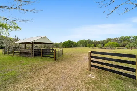 16638 N Highway 329 Reddick FL 32686
