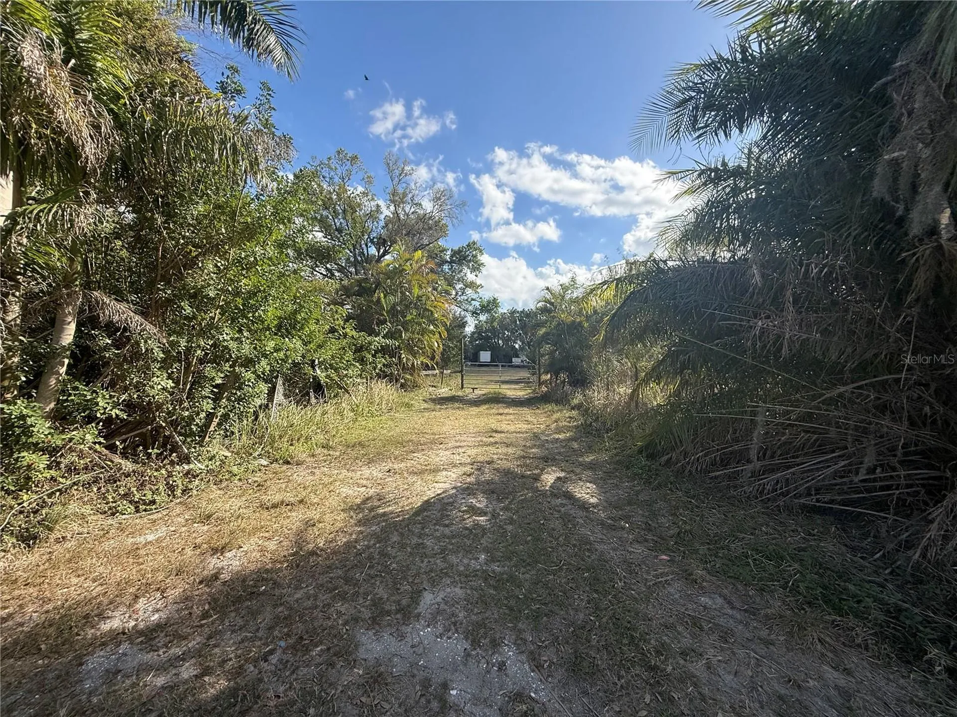 11959 Moccasin Wallow Road Parrish FL 34219