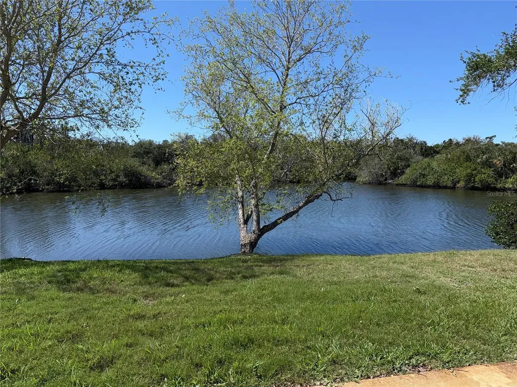 4124 Hampton Drive New Port Richey FL 34652