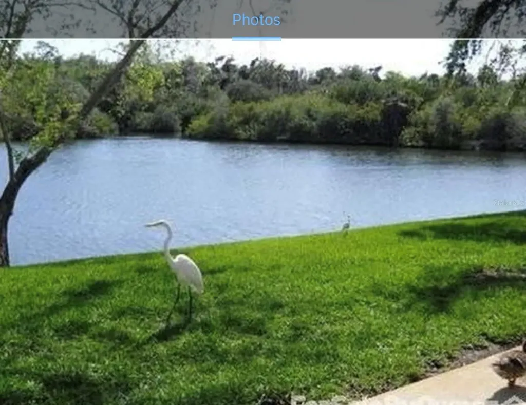 4124 Hampton Drive New Port Richey FL 34652
