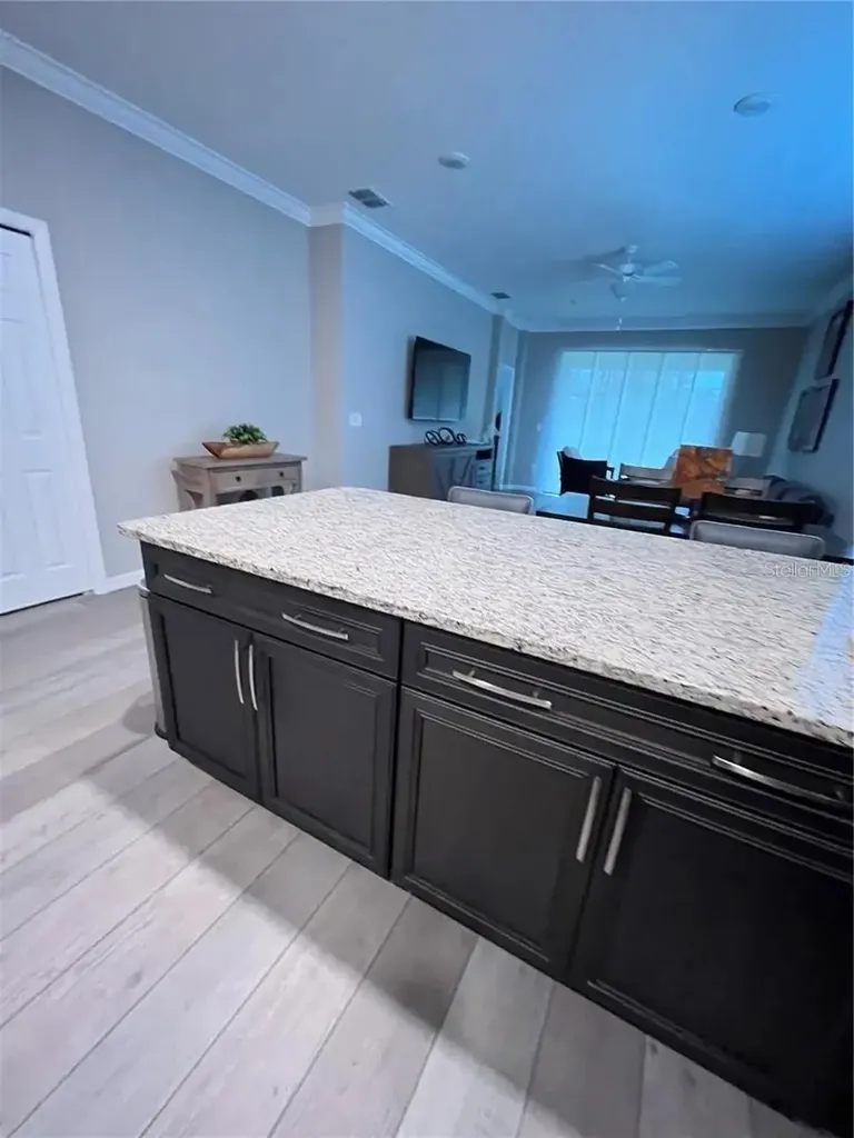 9891 SW 99th Loop Ocala FL 34481