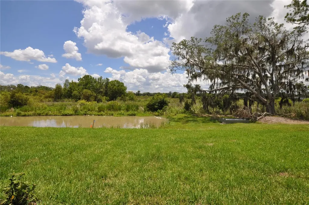 1458 Tahitian Sunrise Drive Plant City FL 33565