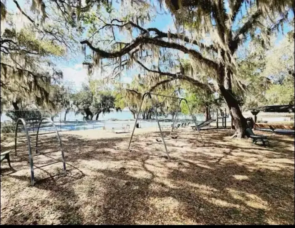 14263 NE 252nd Court Road Salt Springs FL 32134
