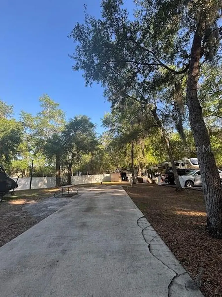 14263 NE 252nd Court Road Salt Springs FL 32134