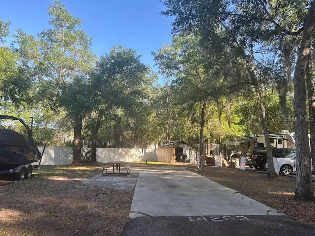 14263 NE 252nd Court Road Salt Springs FL 32134