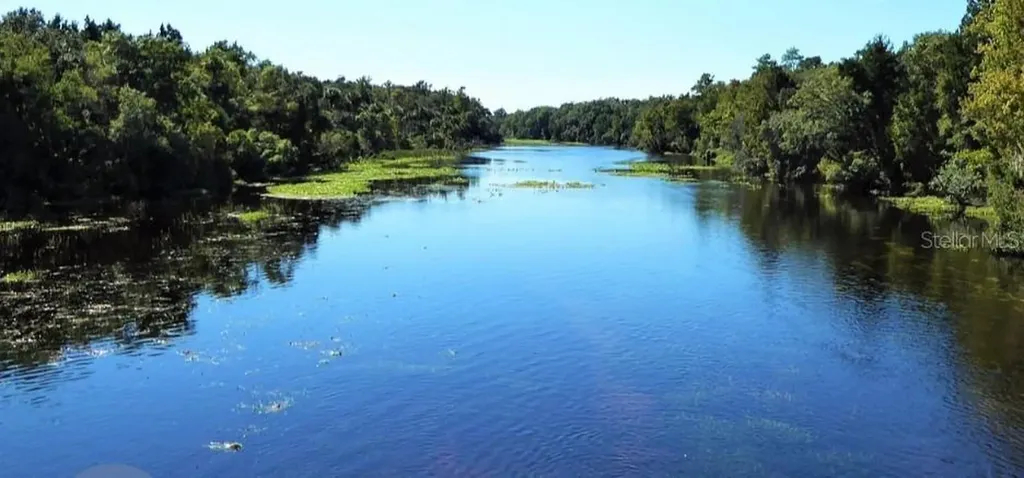 14263 NE 252nd Court Road Salt Springs FL 32134