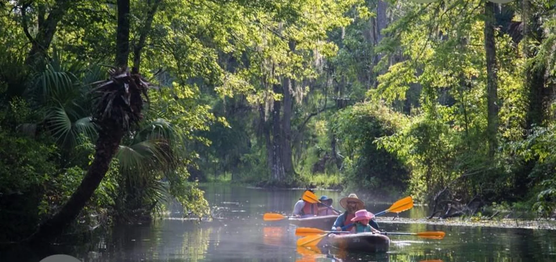 14263 NE 252nd Court Road Salt Springs FL 32134