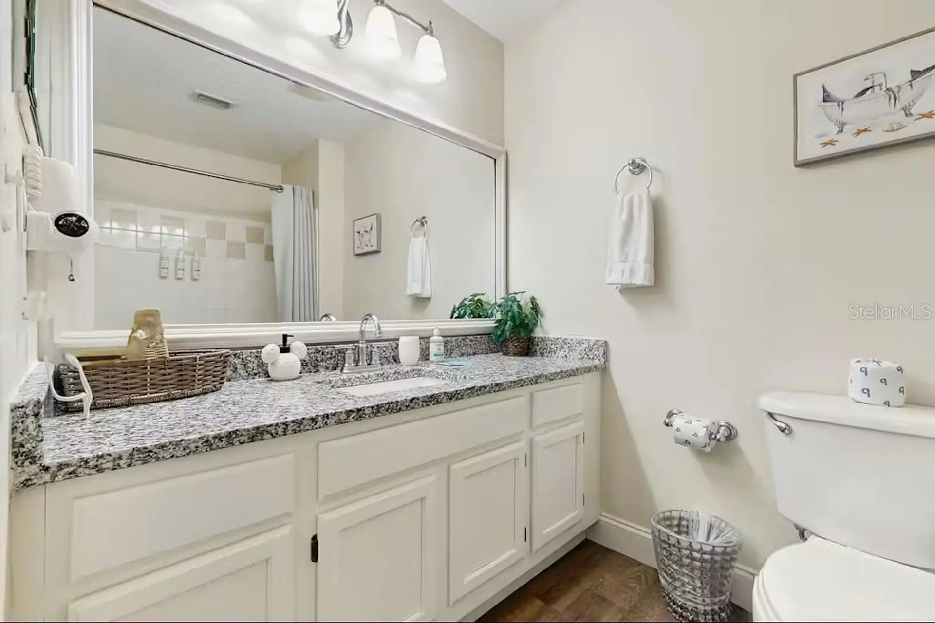 5002 Mangrove Alley Kissimmee FL 34746
