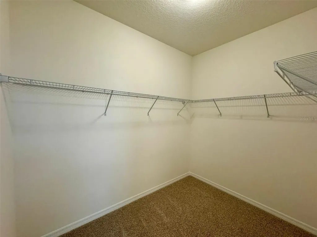 16085 Scarpetta Street Winter Garden FL 34787