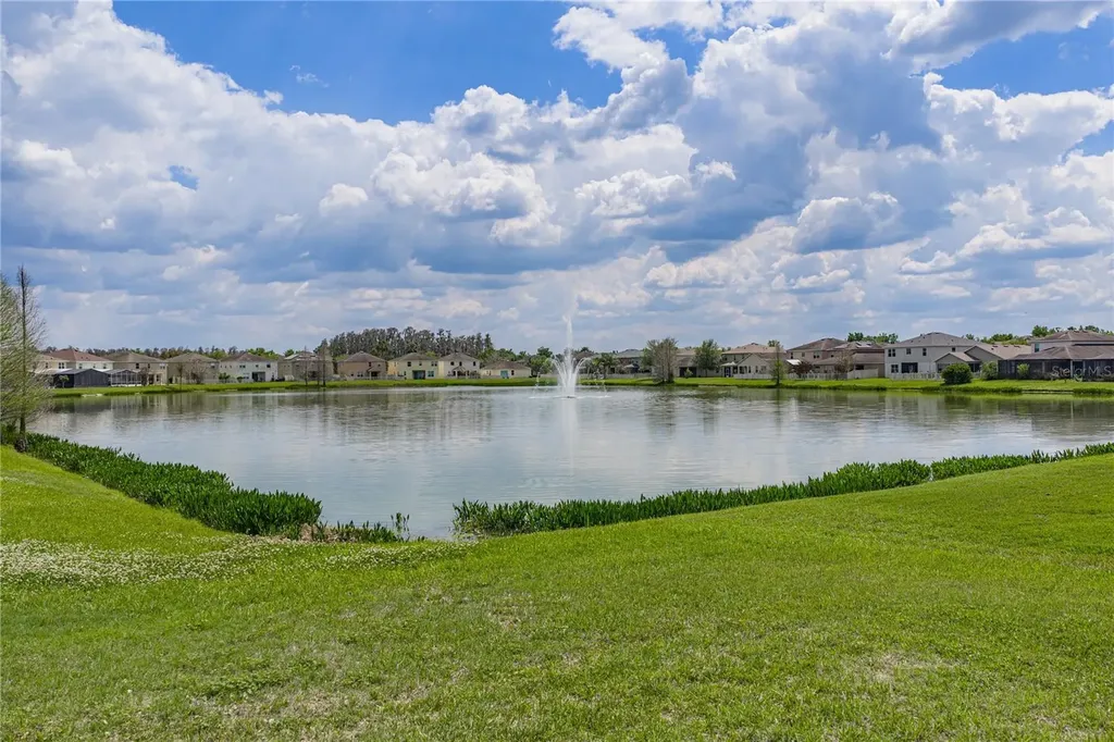 10661 Pictorial Park Drive Tampa FL 33647