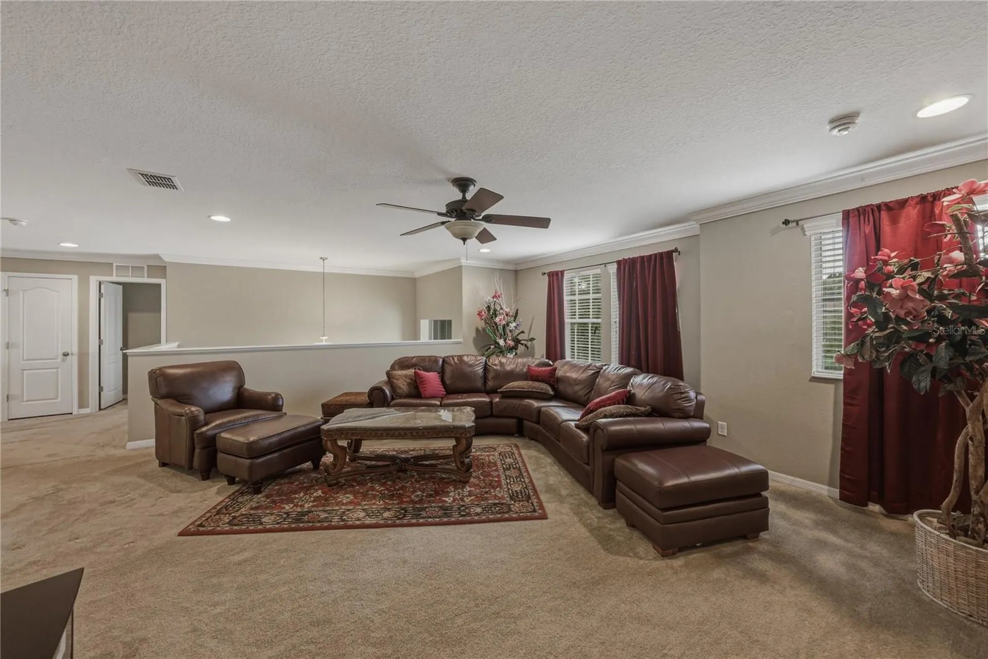 10661 Pictorial Park Drive Tampa FL 33647