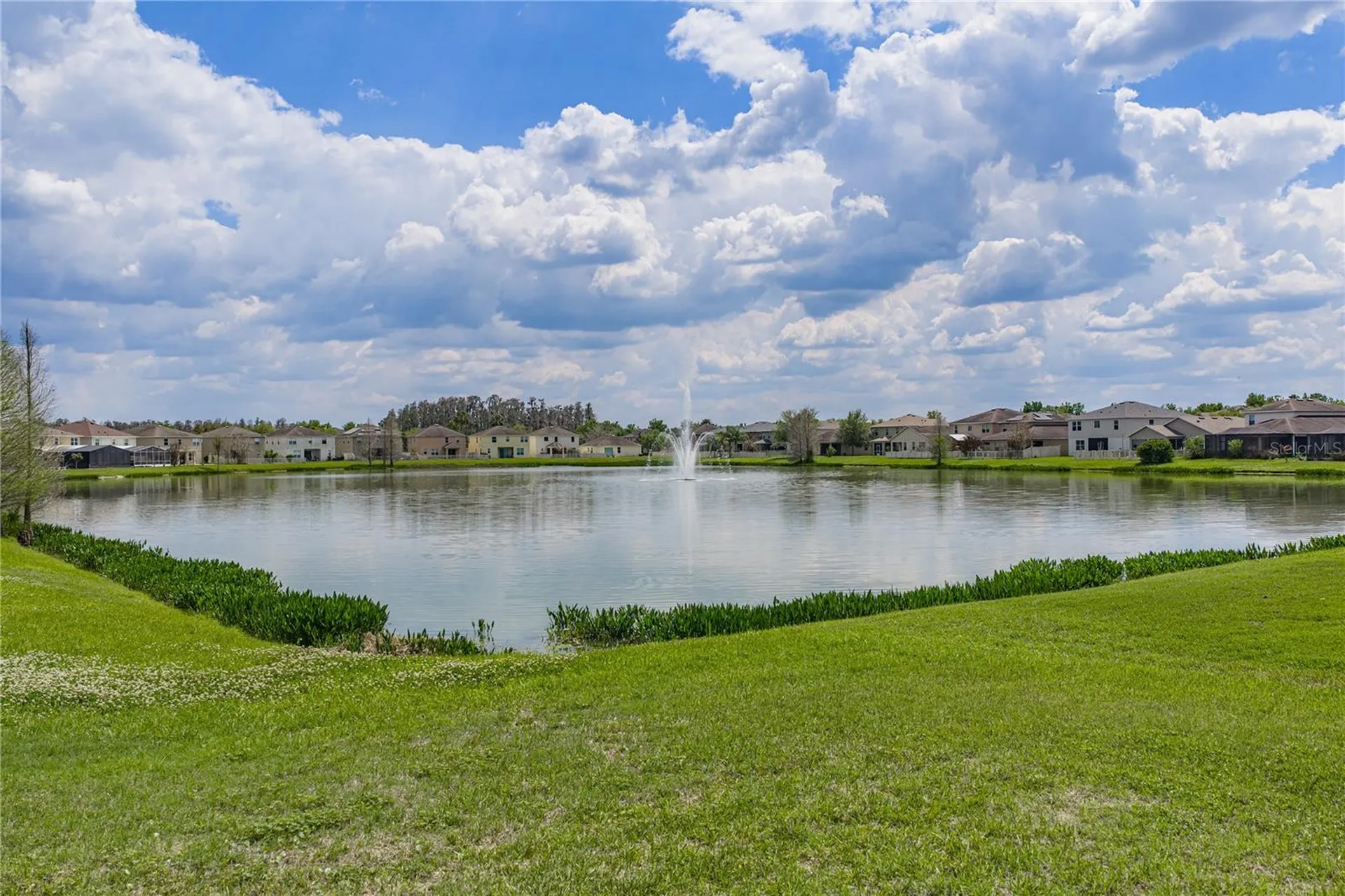 10661 Pictorial Park Drive Tampa FL 33647