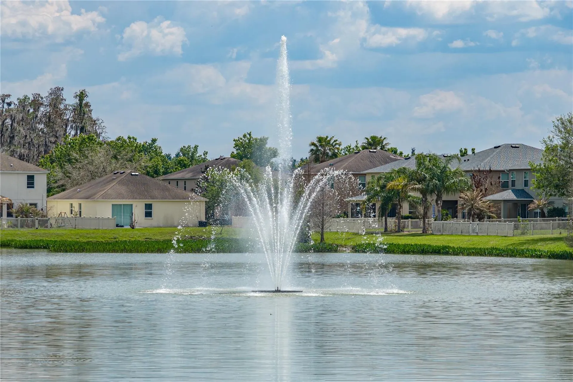 10661 Pictorial Park Drive Tampa FL 33647