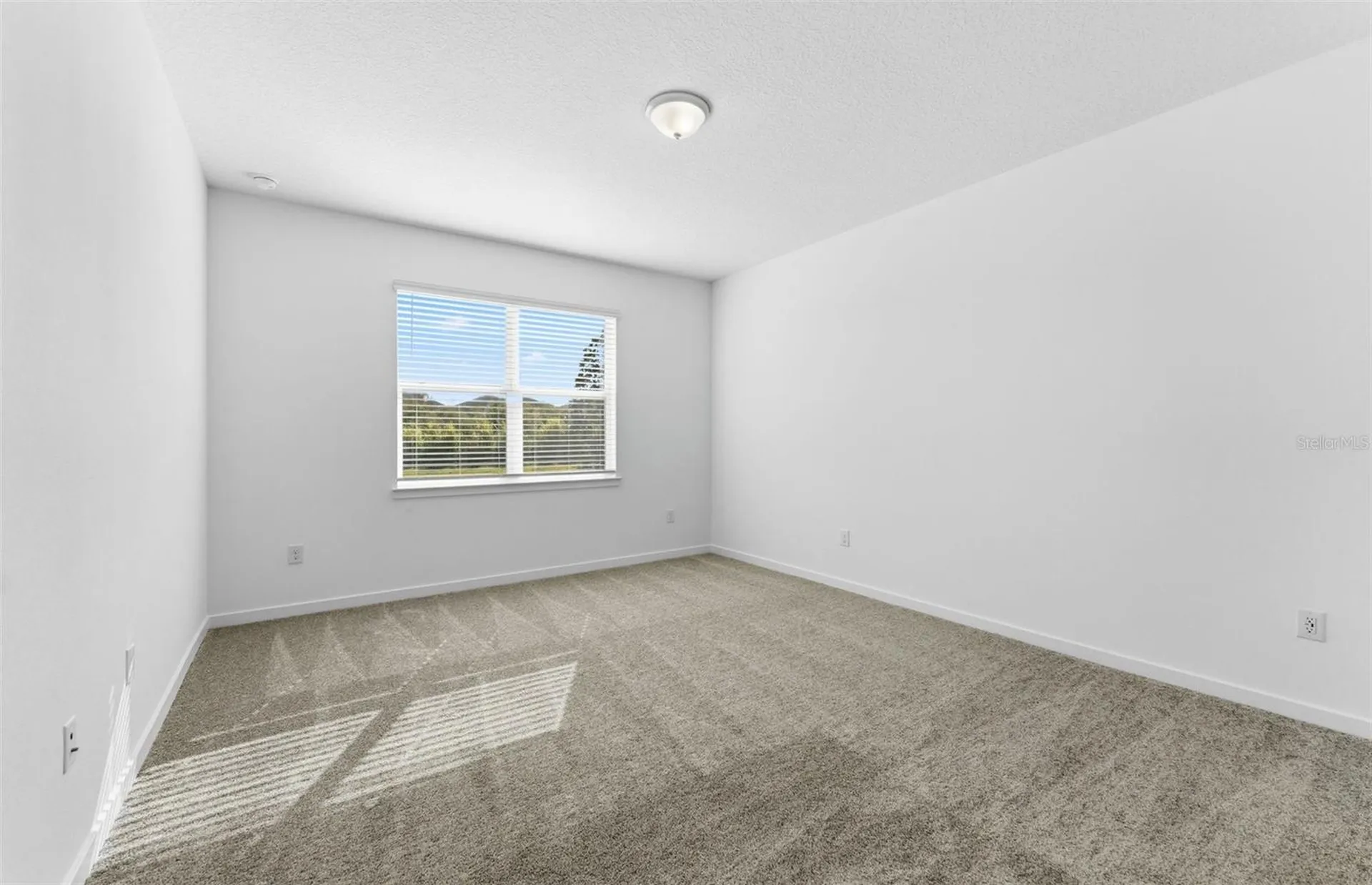9828 Crescent Moon Drive Riverview FL 33578